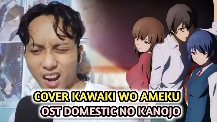 Cover OST Domestic NO Kanojo - Kawaki no Ameku