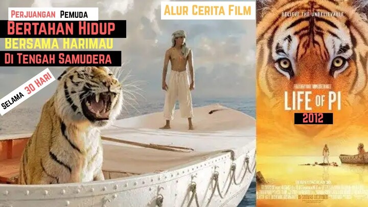 PERJUANGAN PEMUDA BERTAHAN HIDUP DI TENGAH SAMUDERA BERSAMA HARIMAU - Alur Cerita Film Life Of Pi