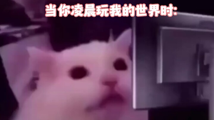 ฉันจะไม่บอกว่าเป็นใคร