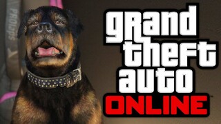 Old Dog Chop | GTA Online Momen Lucu (Bahasa Indonesia)