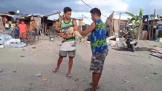 isa tare vs dalawa