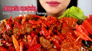 ASMR AMPELA MERCON + TEMPE PENYET + TUMIS TERONG | ASMR MUKBANG INDONESIA
