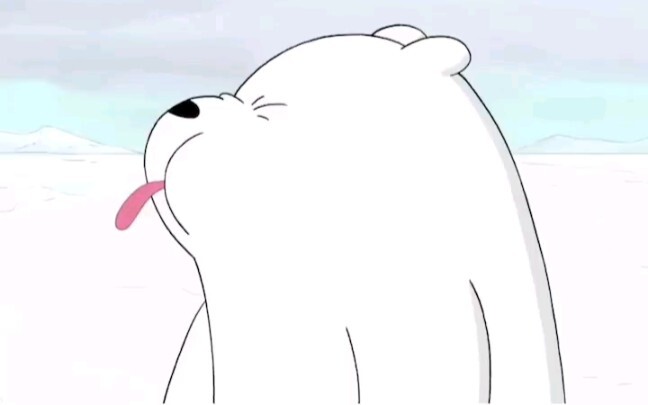 White bear is so cute