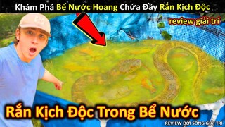 Phát Hiện Rắn Độc Kinh Dị Đủ Loại Sinh Vật Thú Vị Trong Bể Nước Bỏ Hoang || Review Giải Trí Đời Sống