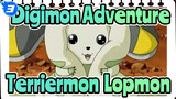 [Digimon Adventure] Terriermon&Lopmon's Cute Daily Life Cut_B3