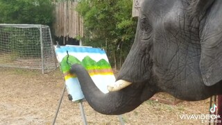 🐘น้องธันวาเป็นช้างที่วาดรูปเก่งที่สุดในโลก