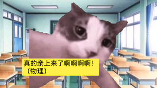 【猫meme】攻略了高冷学霸后发现了他的病娇属性（完）