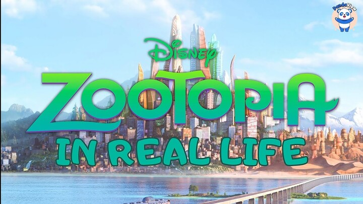 Zootopia Characters In Real Life 2022