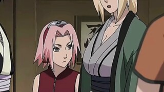 Sakura: Did it become plump recently? Tsunade: God's gift!