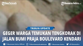 Geger Penemuan Tengkorak di Sekitar Kolam Retensi Boulevard Kendari Sulawesi Tenggara