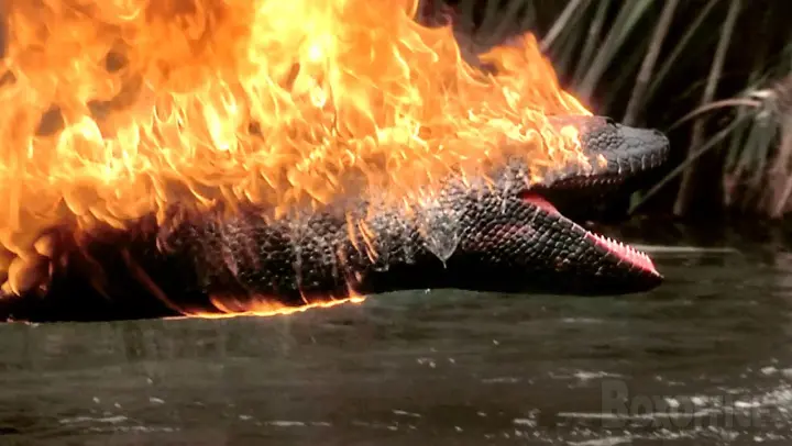 Anaconda burns!