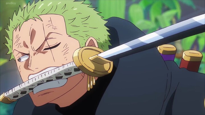 Si Kucing Vs Wakil Kapten Zoro... Auto Di Geprek❗❗❗