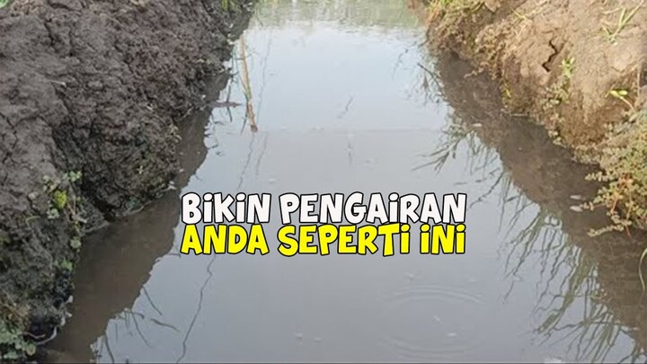 Teknik Pengairan Budidaya Bawang Merah