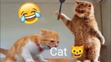 Funniest animals 🐱 🐶 memes in 2023 Funny cats 🐱 and dogs 🐶 funny videos 2022 and 2023