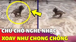 Độc lạ 'CHÚ CHÓ' ở Bình Dương có khả năng 'XOAY NHƯ CHONG CHÓNG' tre của Nobita 😅 Gâu Đần