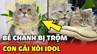 Con gái của XÒI IDOL, bé Chanh vừa bị TRỘM BẮT ngay trước nhà | Yêu Lu