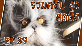 รวมคลิป เจ็บ ฮา อุบัติเหตุ สุดติ่ง EP39 Sabai Sabai