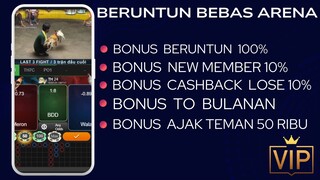 SABUNG AYAM BONUS WINSTREAK HINGGA JUTAAN