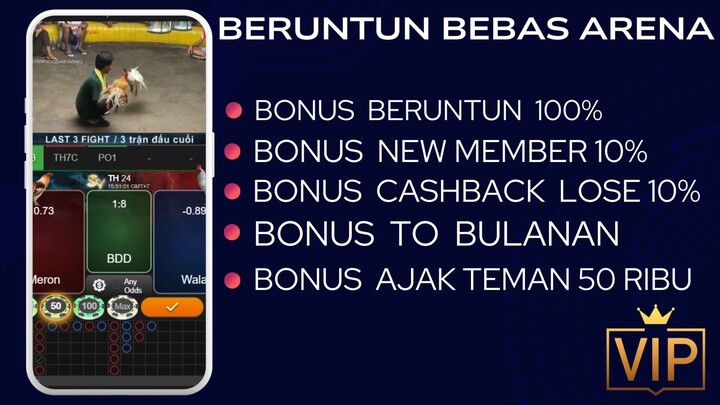 SABUNG AYAM BONUS WINSTREAK HINGGA JUTAAN