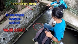 KALIAN BELUM PERNAH MANCING IKAN INI?? WAJIB COBA!! JANGAN REMEHKAN TARIKANYA!!