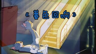 “我曾向上天祈祷，别让我离开杰瑞”