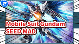 Mobile Suit Gundam | [SEED/MAD]  Người đàn ông tượng trưng cho tự do đã đến!_2