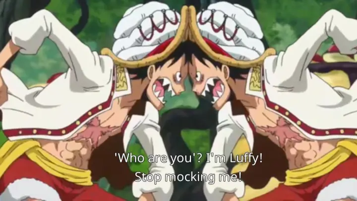 luffy has a twin?