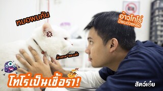 พาแมวไปหาหมอ EP.5 เชื้อราแมว