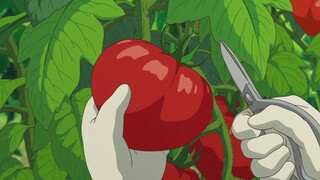 Ghibli's Colorful Summer (Full Version)