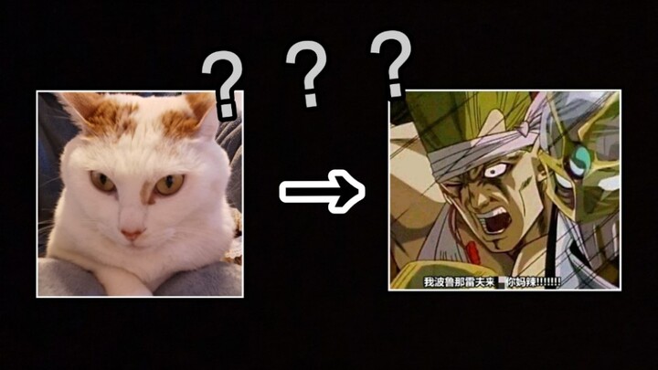 【JOJO】我把我家猫变成了波鲁那雷夫？？？