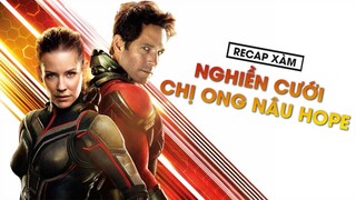 Recap Xàm #29: Người Kiến Và Chiến Binh Ong Nâu Hope | Ant Man And The Wasp