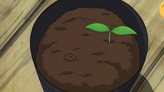 Will the food you grow yourself be delicious? #Doraemon