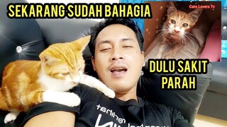 Masya Allah Kucing Dulu Sakit Parah Banget Sekarang Sudah Besar Suka Lihatin Yang Menolongnya..!