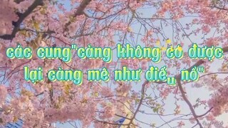 12 cung hoàng đạo phần 8