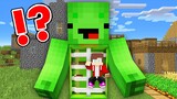 JJ Survival Inside Mikey BODY n in Minecraft Challenge Pranks Nico and Cash security Maizen