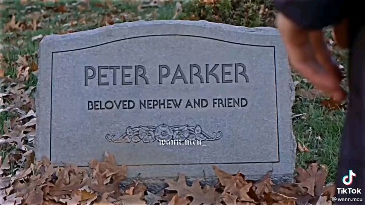hahahahah spider ma R.I.P(Peter Parker)