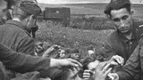Что бойцам красной армии запрещалось делать с пленными немцами?