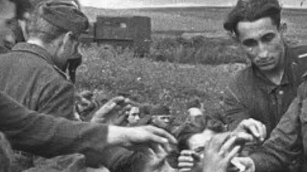 Что бойцам красной армии запрещалось делать с пленными немцами?