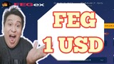 FEG 1 USD I Feg token Update I Feg Token Review