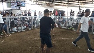 2hits champion 1st figth