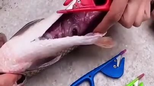 best gadget for fish chief