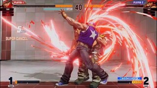 KOF15　拳皇vs覇者　テリー　今作のテリーの強さを象徴するパワーゲイザーコンボ