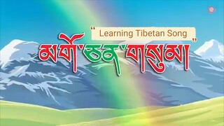 Learning Tibetan Song (Post By : Nhaddhakitty Prabhakaranh Yosying)