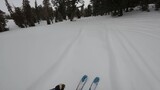 Cat Skiing