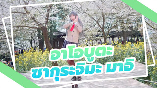 มาอิ เปิดตัว ภายใต้ซากุระ! บานพร้อมกับความฝัน | อาโอบูตะ