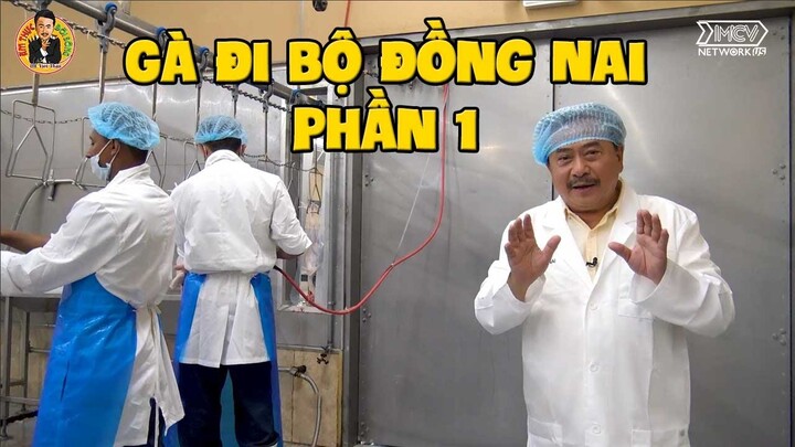 Gà Đi Bộ Đồng Nai - Phần 1 | Ẩm Thực & Đời sống với MC Việt Thảo | Chuyện Bên Lề 1626