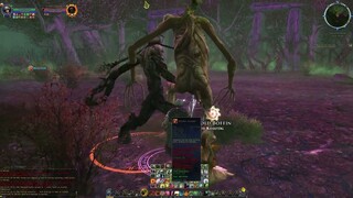 The Lord of the Rings Online, Woe of the Willow