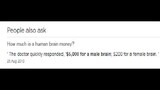 how much is a human brain