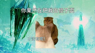 [Cat Meme] Zeta Radio Drama ตอนที่ 1 เรื่องราวการเผชิญหน้าระหว่างซีโร่กับซีต้า