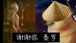 老子叫cheems